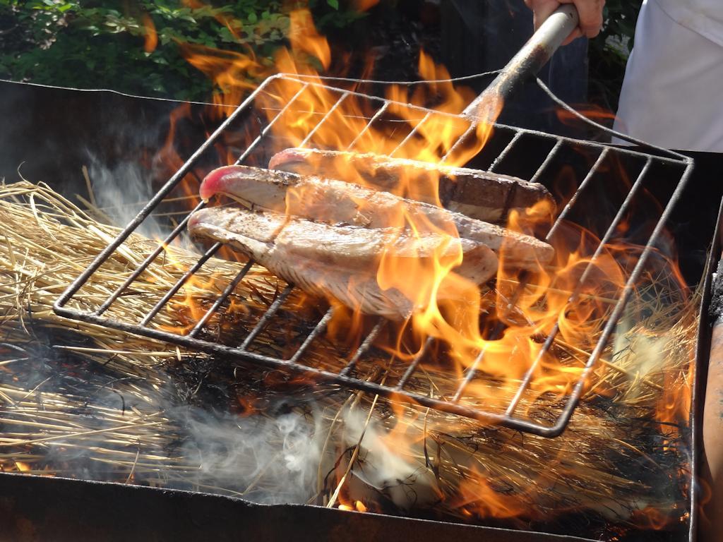 토사류 온센 산요소 료칸 Tosa 외부 사진